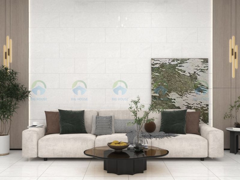 gạch ốp tường Đồng Tâm 3060CLOUD001 gạch ốp tường màu trắng Đồng Tâm 3060CLOUD001