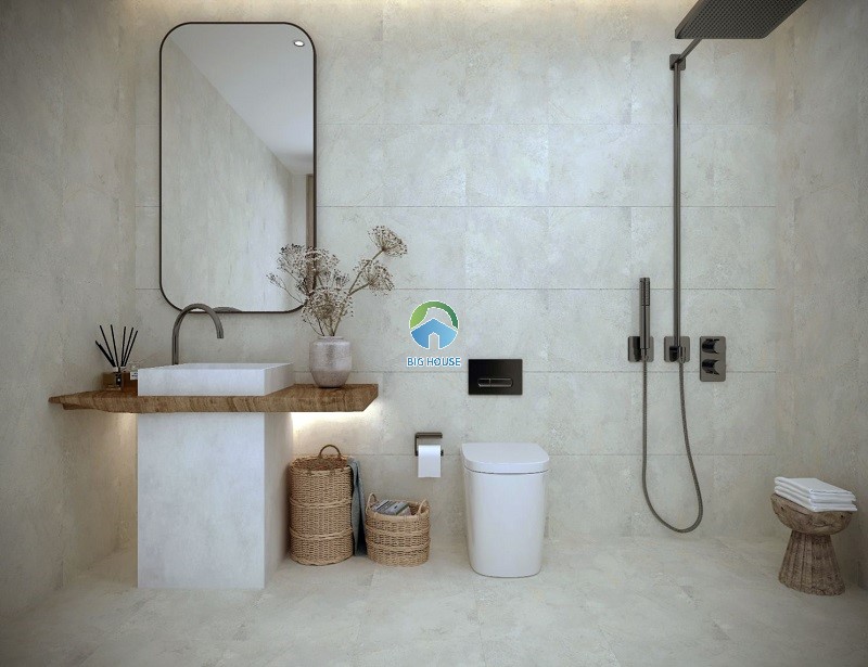 Gạch Đồng Tâm 4040GECKO008 