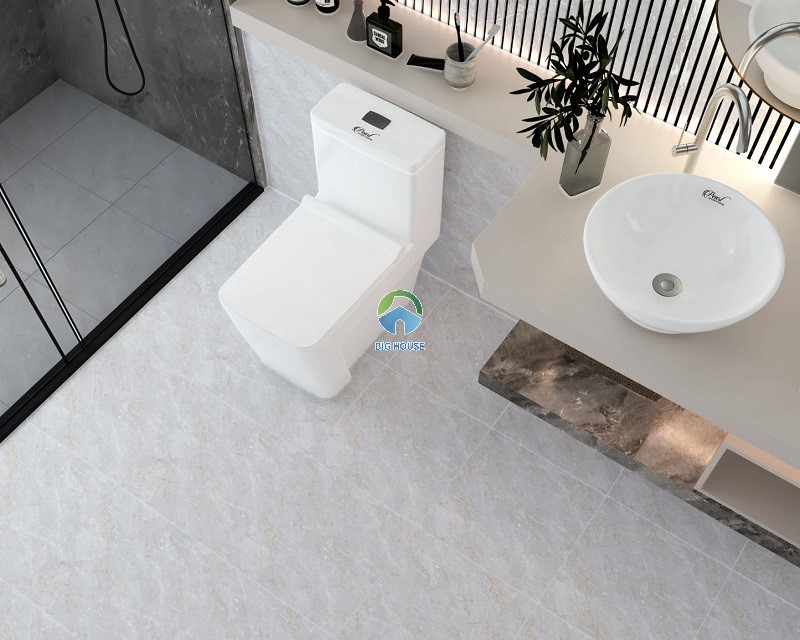 Mẫu gạch Đồng Tâm 4040THACHANH004