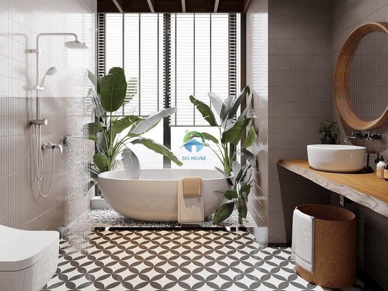Gạch bông lát nền sắc màu kết hợp tường đơn giản